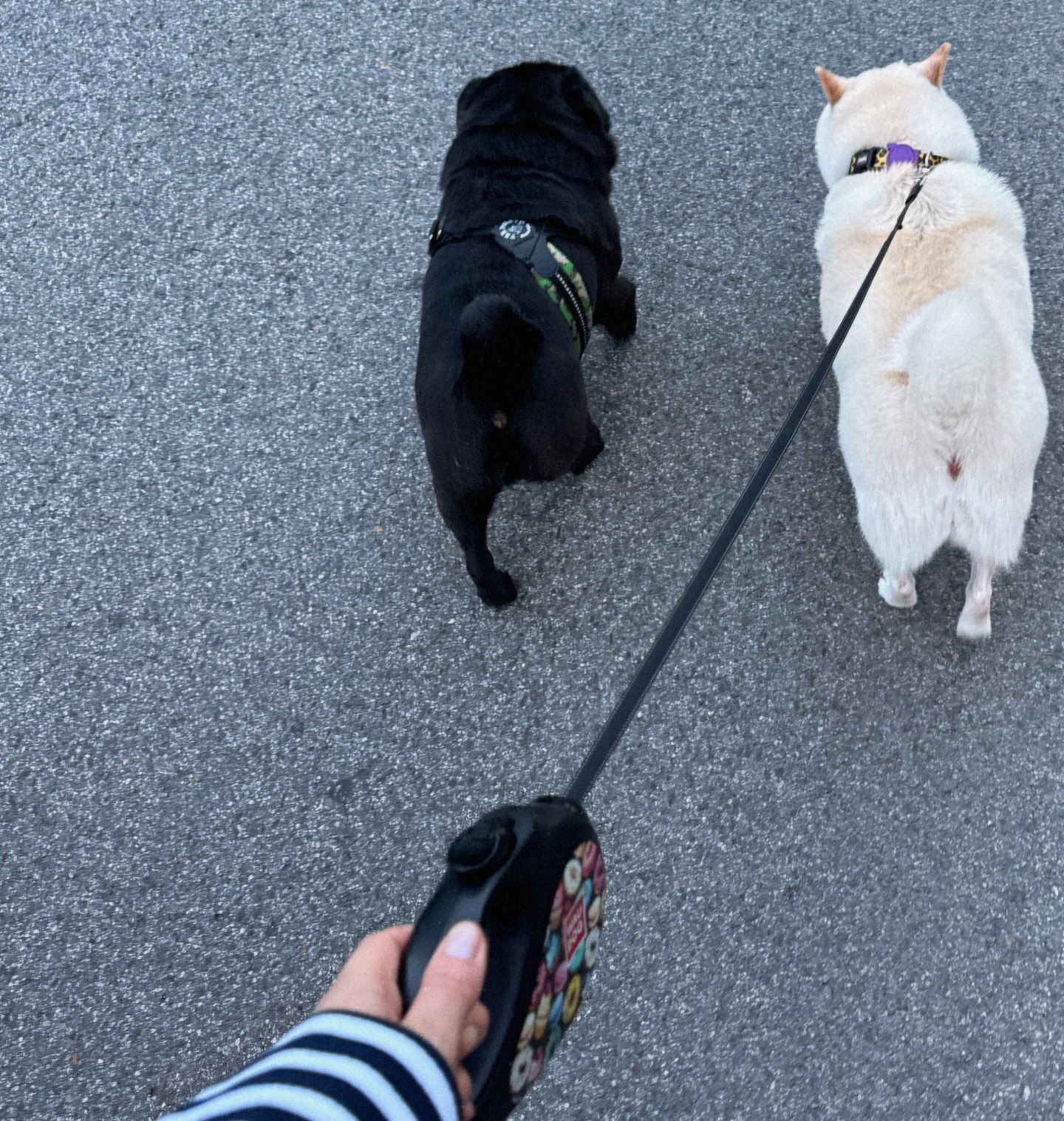 38-річна Астаф'єва вразила мережу чесним фото у купальнику: "Жіночна та вільна"